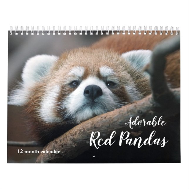 Calendário Pandas Vermelhas Adoráveis 2026 (Capa)