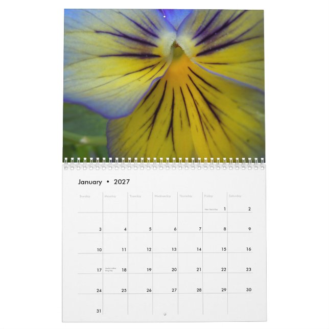 Calendário Pansies 2015 (Jan 2027)