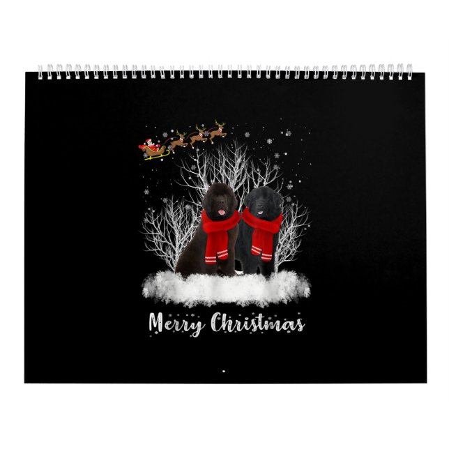 Calendário Papais noeis Casal da Terra Nova - Presente de Cac (Capa)