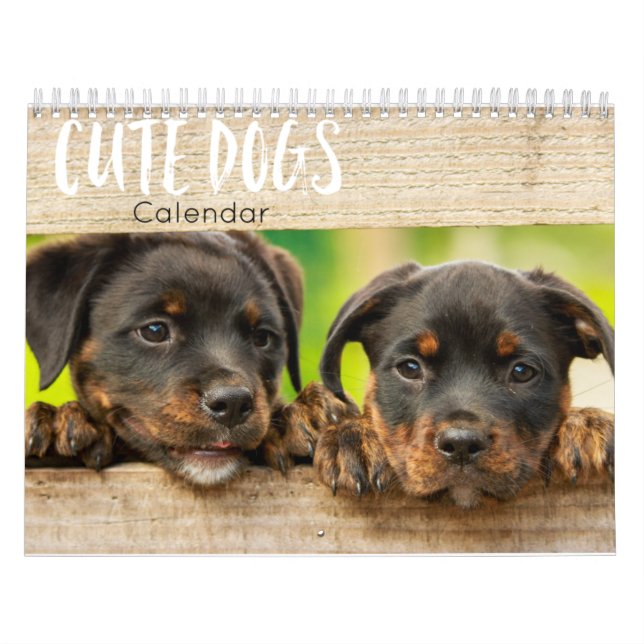 calendário para cães giros 2023 (Capa)