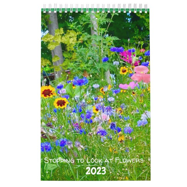 Calendário Parando de Olhar para Flores em 2023 (Capa)
