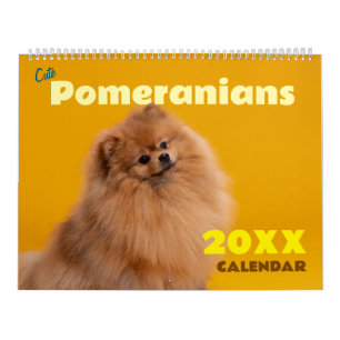Calendário Parede de Cachorros Pomerânia Fofos