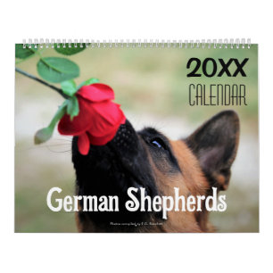 Calendário Parede do Cão Pastor Alemão 2027