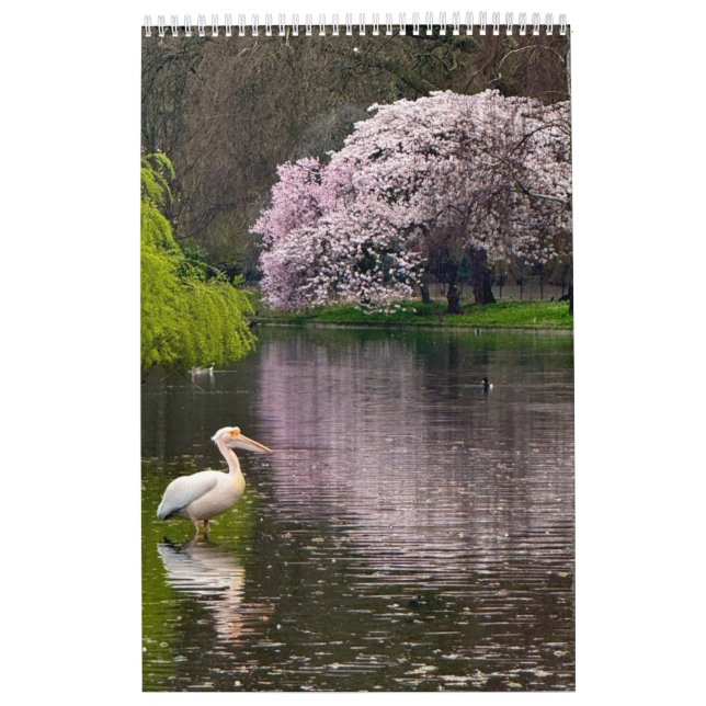 Calendário Parque St James, Londres  (Capa)