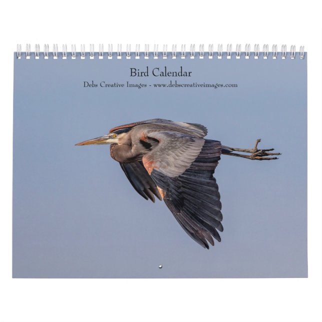 Calendário Pássaro 2026 (Capa)