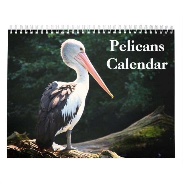 Calendário Pássaro Pelicano 2020 (Capa)