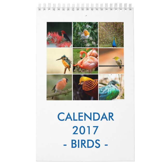 Calendário Pássaros (Capa)
