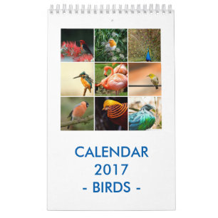 Calendário Pássaros