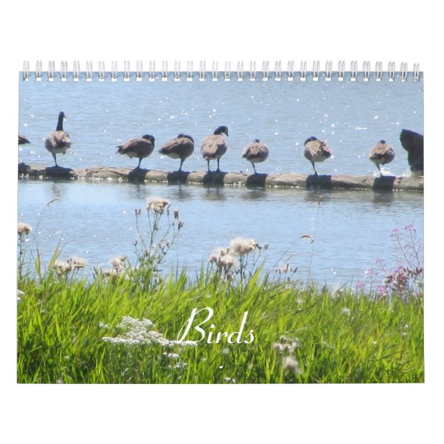 Calendário Pássaros (Capa)