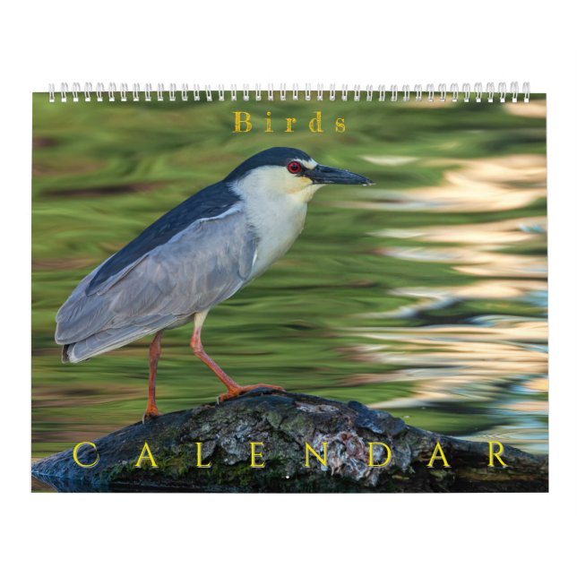 Calendário Pássaros (Capa)