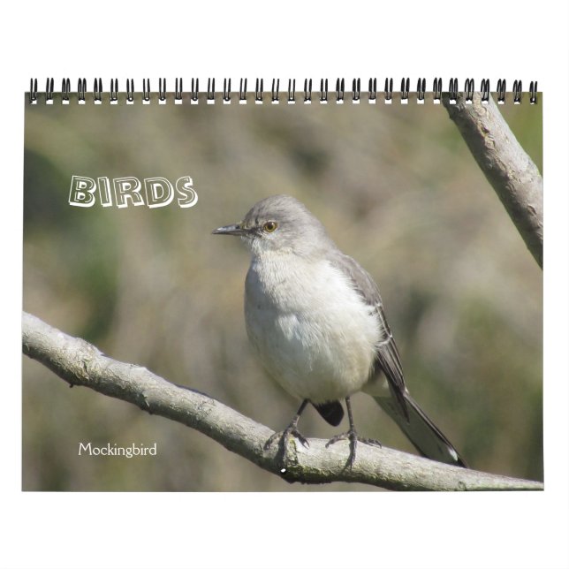 Calendário - Pássaros (Capa)