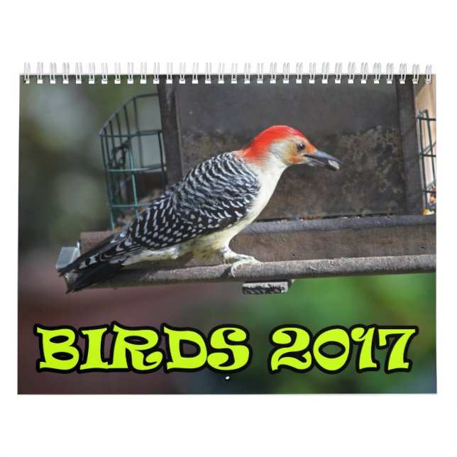 Calendário Pássaros 2017 (Capa)