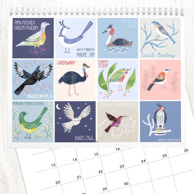 Calendário Pássaros ao redor da arte mundial (Birds around the World fun art calendar with illustrations by Nic Squirrell)