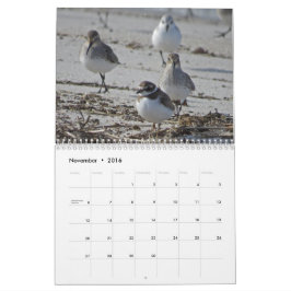Calendário Pássaros aquáticos