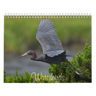 Calendário Pássaros aquáticos 4