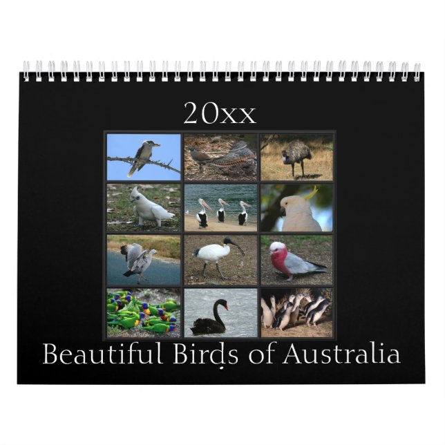 Calendário Pássaros australianos coloridos (Capa)