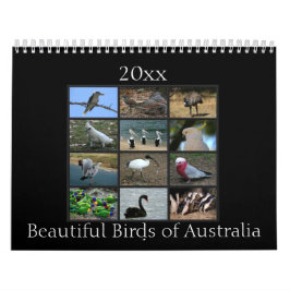 Calendário Pássaros australianos coloridos