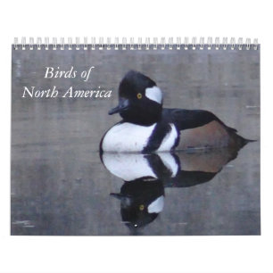 Calendário Pássaros da América do Norte Calandar Calendar