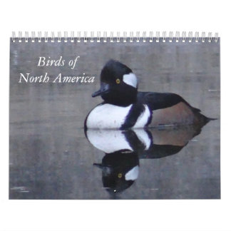 Calendário Pássaros da América do Norte Calandar Calendar