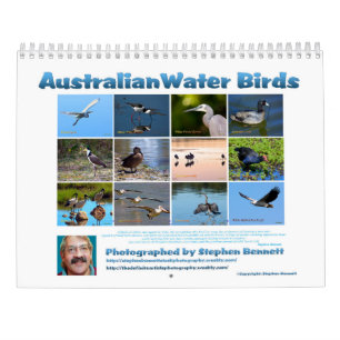 Calendário Pássaros de água australianos