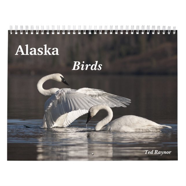 Calendário Pássaros de Alaska (Capa)