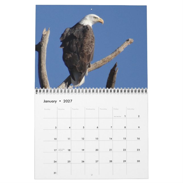 Calendário Pássaros de America do Norte - 2015 (Jan 2027)