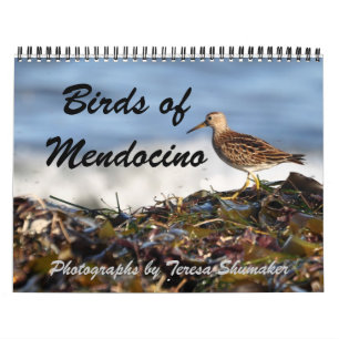 Calendário Pássaros de Mendocino