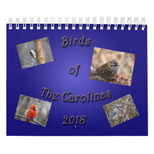 Calendário Pássaros do Carolinas