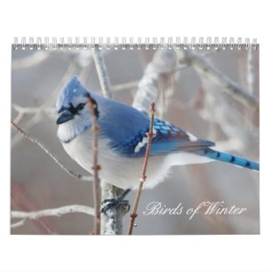 Calendário Pássaros do inverno