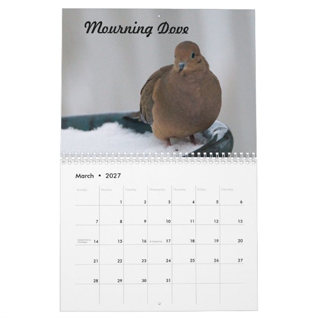 Calendário Pássaros do Quintal do Missouri (Mar 2027)