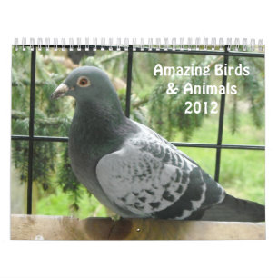 Calendário Pássaros e Animais Incríveis 2012