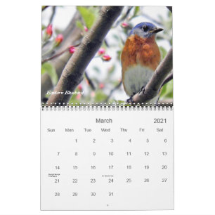 Calendário Pássaros em sua fotografia do quintal