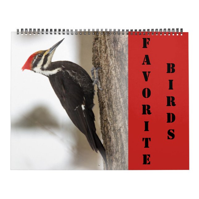 Calendário - Pássaros Favoritos (Capa)