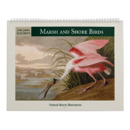 Calendário Pássaros Marsh e Shore 2026 da Audubon