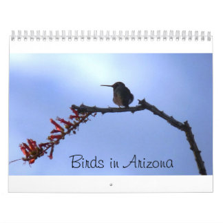 Calendário Pássaros na arizona