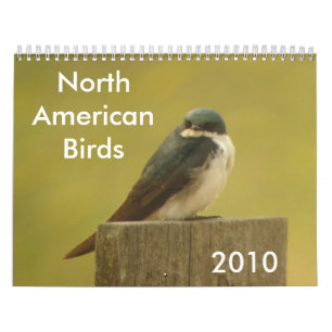 Calendário Pássaros norte-americanos 2010