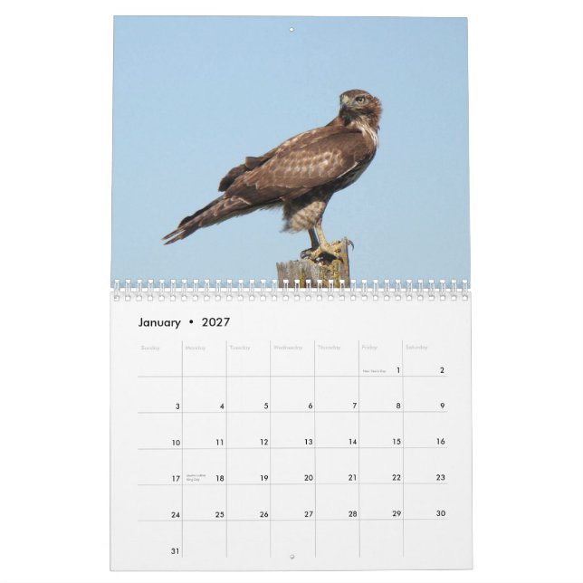 Calendário Pássaros norte-americanos 2010 (Jan 2027)