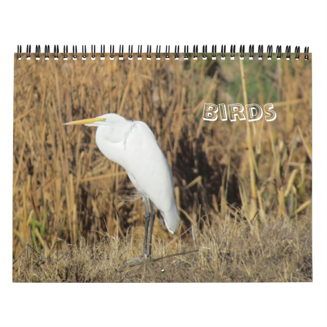 Calendário - Pássaros para o Ano Novo (Capa)