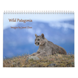 Calendário Patagônia Selvagem: Pumas e vida selvagem