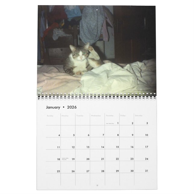 CALENDÁRIO PATINETE 2007 (Jan 2026)