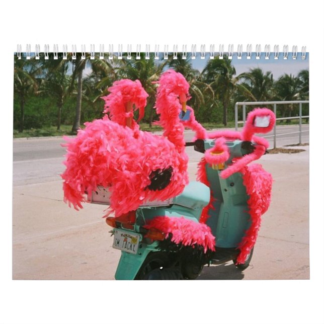 Calendário Patinete foleiro de Key West (Capa)