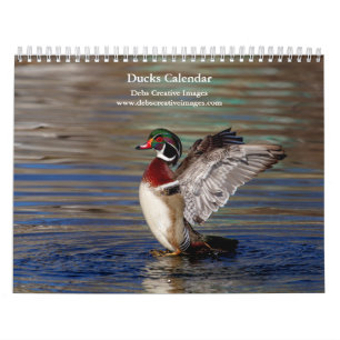 Calendário Patos 2024