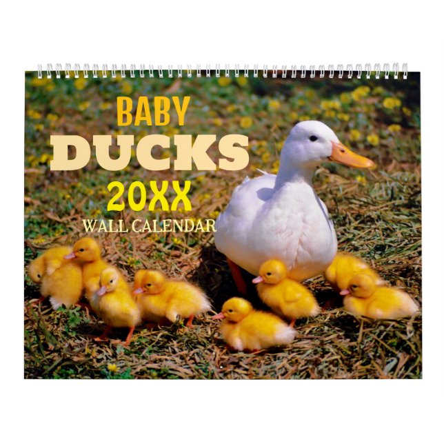 Calendário Patos Bebês Fofos Parede 2027   (Capa)