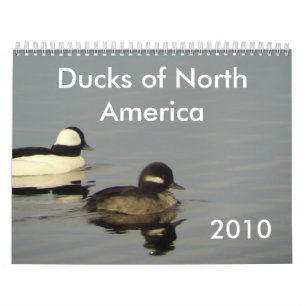 Calendário Patos de America do Norte 2010