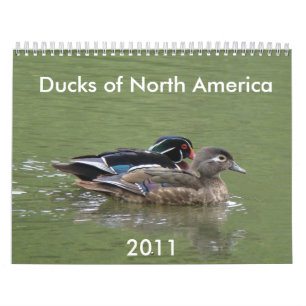 Calendário Patos de America do Norte, 2011