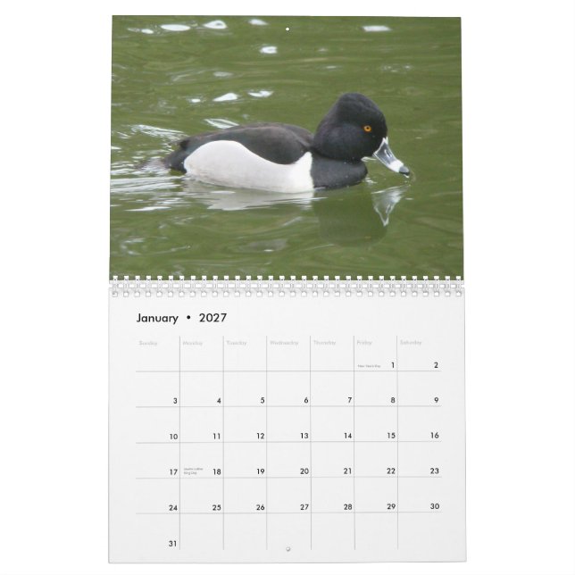 Calendário Patos de America do Norte, 2011 (Jan 2027)