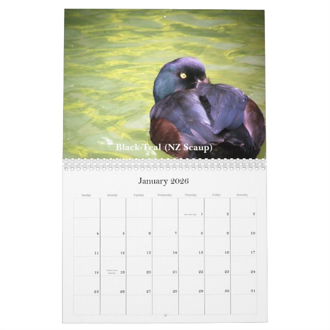 Calendário Patos de Nova Zelândia (Jan 2026)