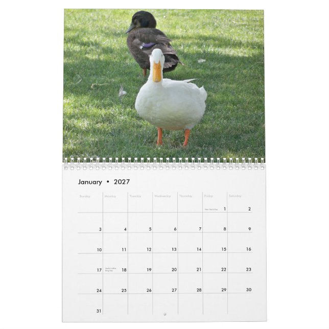 Calendário Patos selvagens (Jan 2027)
