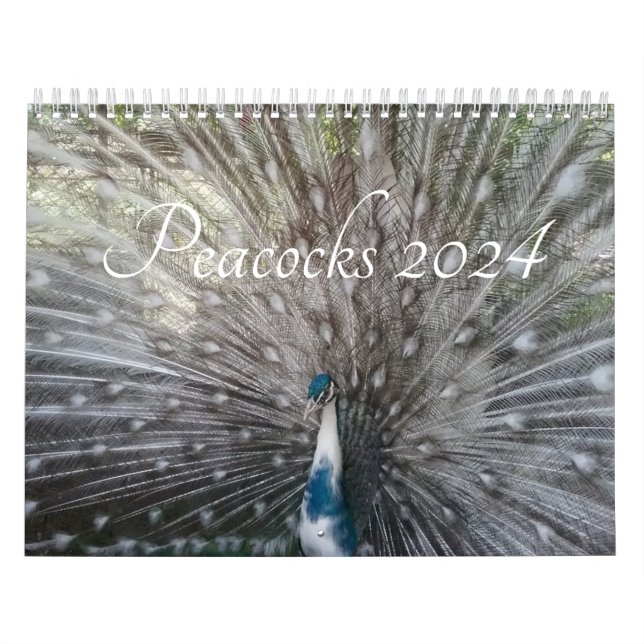 Calendário Pavão 2024 (Capa)