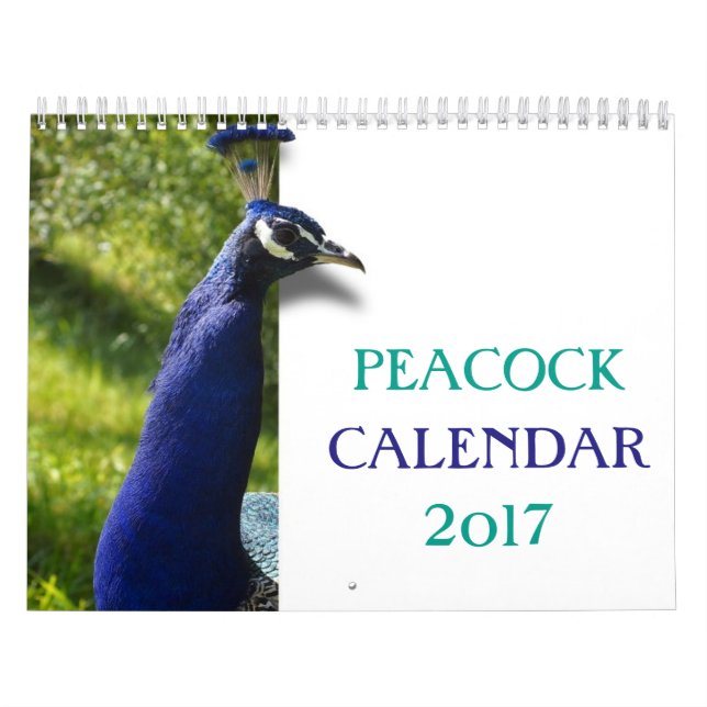 Calendário Pavão bonito 2017 (Capa)